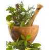 Sangue di Drago a pezzi -1gr-