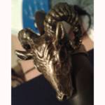 anello caprone-p.jpg (4121 byte)